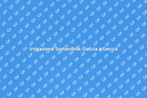 Impianto di Irrigazione a Goccia