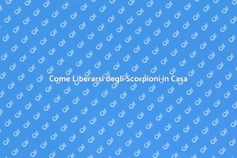 Disinfestare Casa dagli Scorpioni