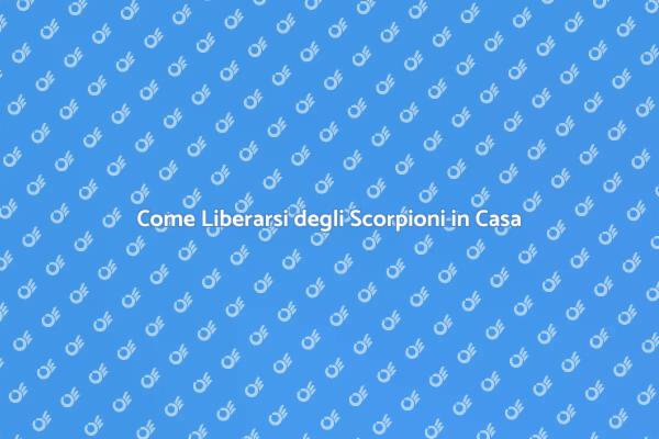 Scopri Come Disinfestare i Scorpioni