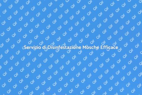 Disinfestazione Mosche per Spazi Pubblici