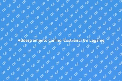 Addestramento Base per Cani: Guida
