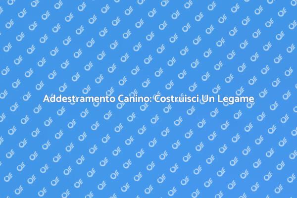 L'Addestramento che Unisce: Cani e Umani