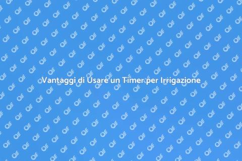 Timer per Irrigazione: Vantaggi Chiave