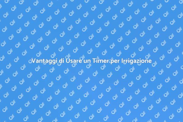 Irrigazione Intelligente: Scegli un Timer
