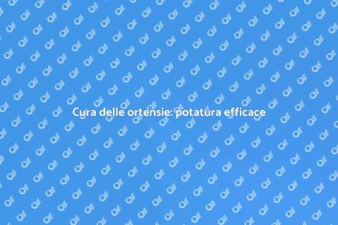 Potatura ortensie: cura e bellezza