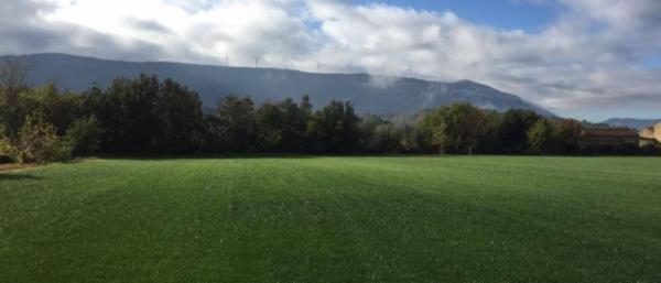 Ciccone Produttori di Prato a Rotoli  - Foto 2