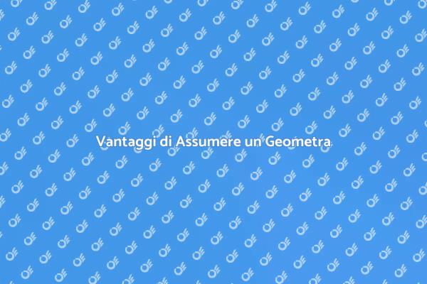 Importanza di un Geometra nel Progetto