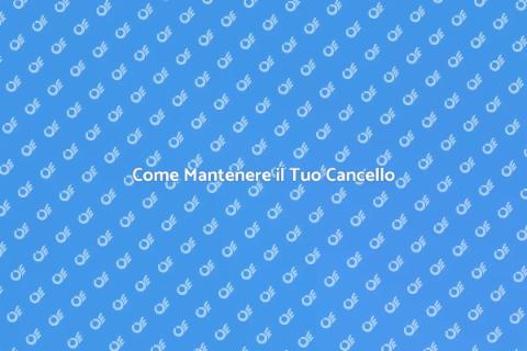 Manutenzione Cancello: Guida Completa
