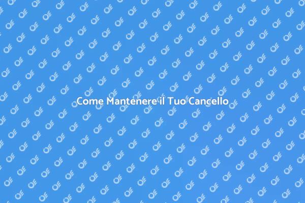 Manutenzione Cancello: Consigli Utili