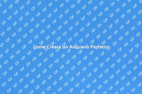 Acquario Ben Allestito: Guida Pratica