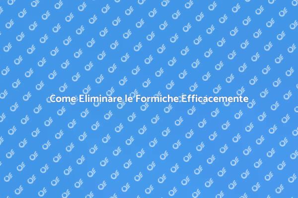 Liberati dalle Formiche in Casa