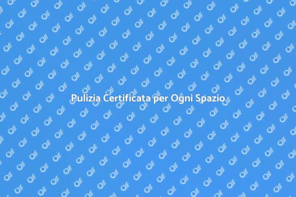 L'importanza della Pulizia Professionale