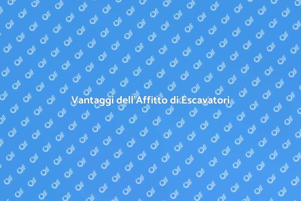 Scopri i Vantaggi dell'Affitto Escavatori