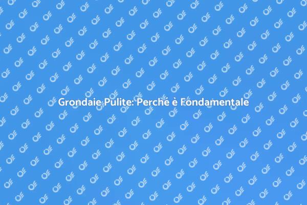 Pulizia Grondaie: Evita Danni Costosi