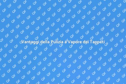 Pulizia a Vapore Tappeti in Casa