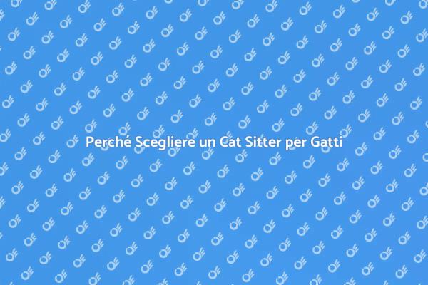 Cat Sitter: Essenziale per il Tuo Gatto