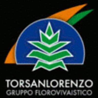 Vivai Torsanlorenzo