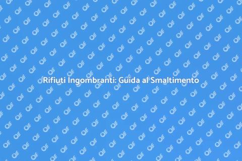 Smaltire Rifiuti Ingombranti con Sostenibilità
