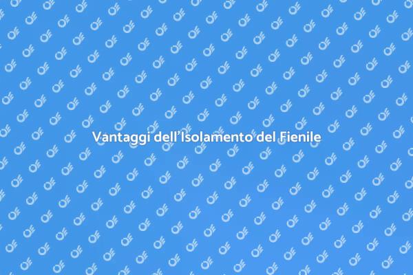 Isolamento Fienile: Comfort e Risparmio