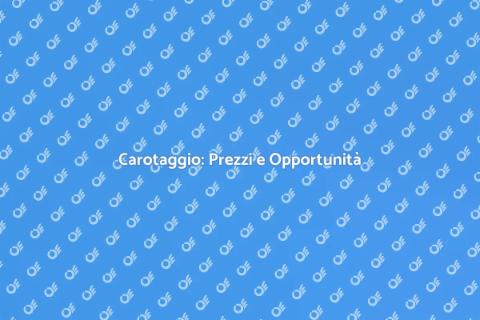 Carotaggio: Costi e Vantaggi Essenziali