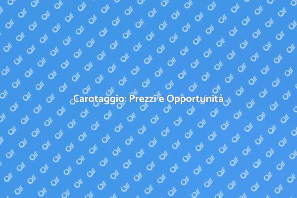 Carotaggio: Costi e Benefici