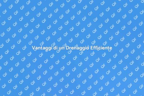 Drenaggio Efficiente per la Tua Casa