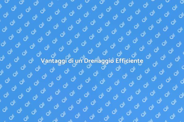 Drenaggio: Proteggi la Tua Casa