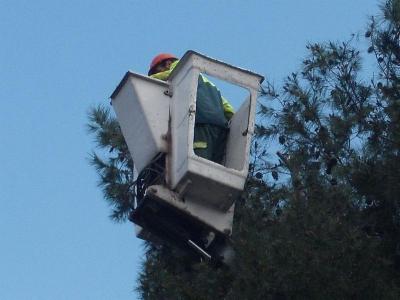 Sky Green Srl  - Foto 5