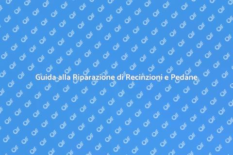 Riparare Recinzione e Pedana con Successo