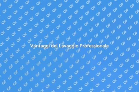 Lavare Professionale i Tappeti