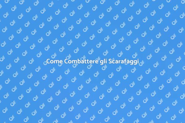 Affrontare l'Infestazione di Scarafaggi