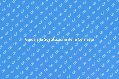 Sostituzione Cornetta Citofono Senza Fili