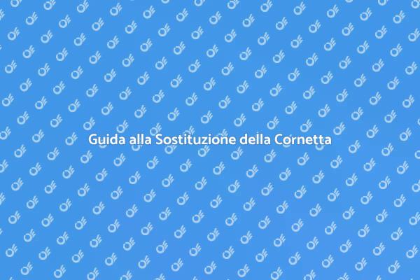 Sostituzione Facile della Cornetta Citofono