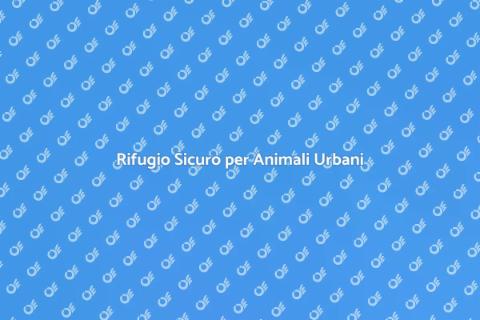 Pensione Animali in Zona Urbana