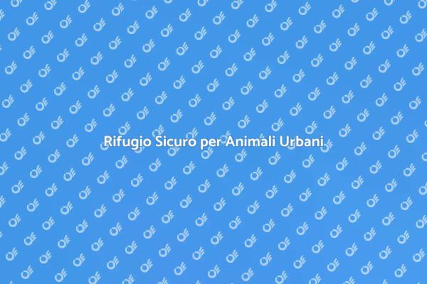 Pensione Affidabile per Animali in Città