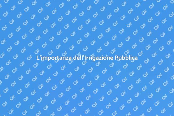 Irrigazione Sostenibile per Aree Pubbliche