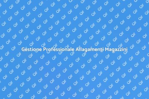 Bonifica Magazzini Allagati Professionale