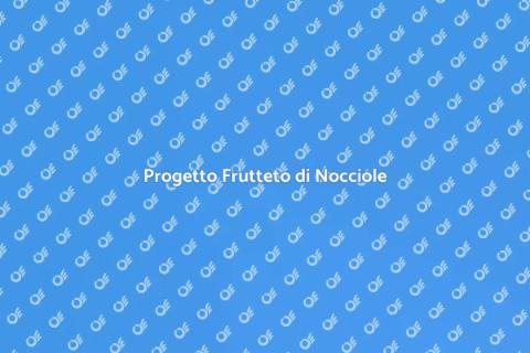 Allestire un Frutteto di Nocciole