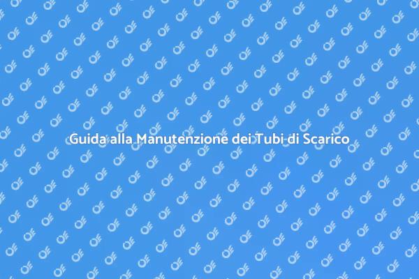 Manutenzione Tubi di Scarico Essenziale