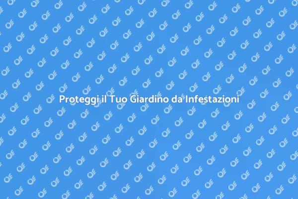 Mantieni Sani i Tuoi Spazi Esterni