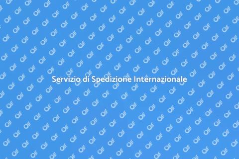 Trasporto Internazionale su Richiesta
