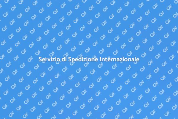 Trasporto Internazionale Facile e Affidabile