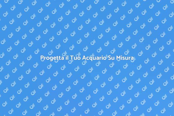 Crea un Angolo Acquatico Unico
