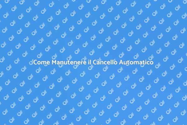 Manutenzione Cancello Automatico: Guida Essenziale