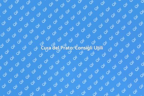 Manutenzione del Prato: Guida Completa