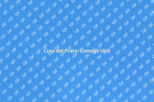 Manutenzione Prato: Trasforma il Tuo Giardino