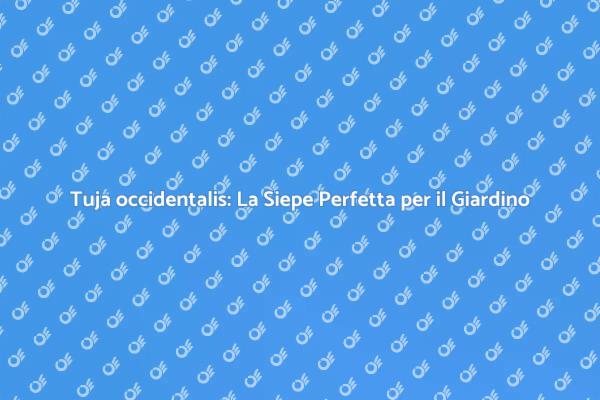 Tuja occidentalis: Verde e Privacy per il Tuo Giardino
