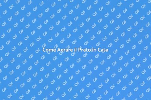 Aerare il Prato Fai da Te