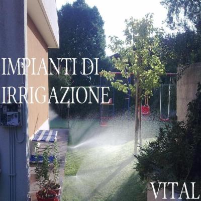 Vital  - Foto 9