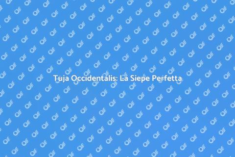 Siepe di Tuja Occidentalis: Vantaggi